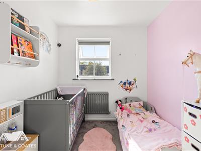 Picture 11